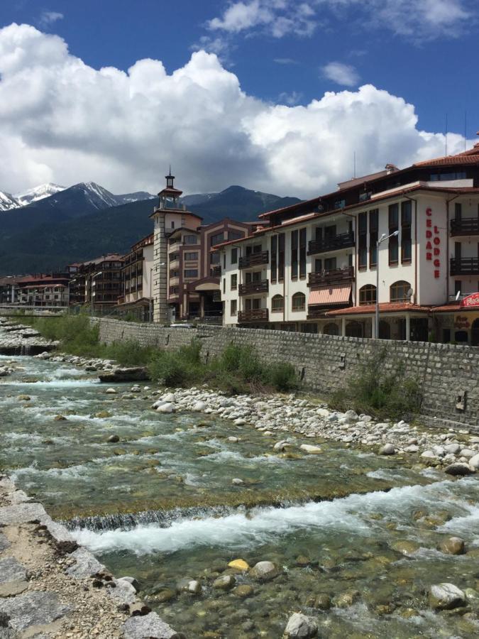 Cedar Lodge 3/4 Apartment Paradise Bansko Esterno foto