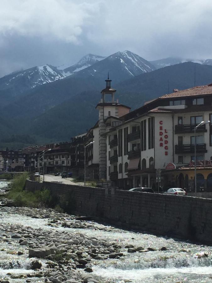 Cedar Lodge 3/4 Apartment Paradise Bansko Esterno foto
