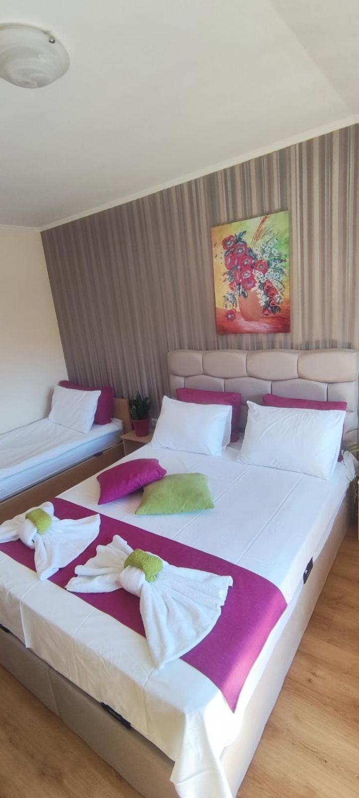 Cedar Lodge 3/4 Apartment Paradise Bansko Esterno foto