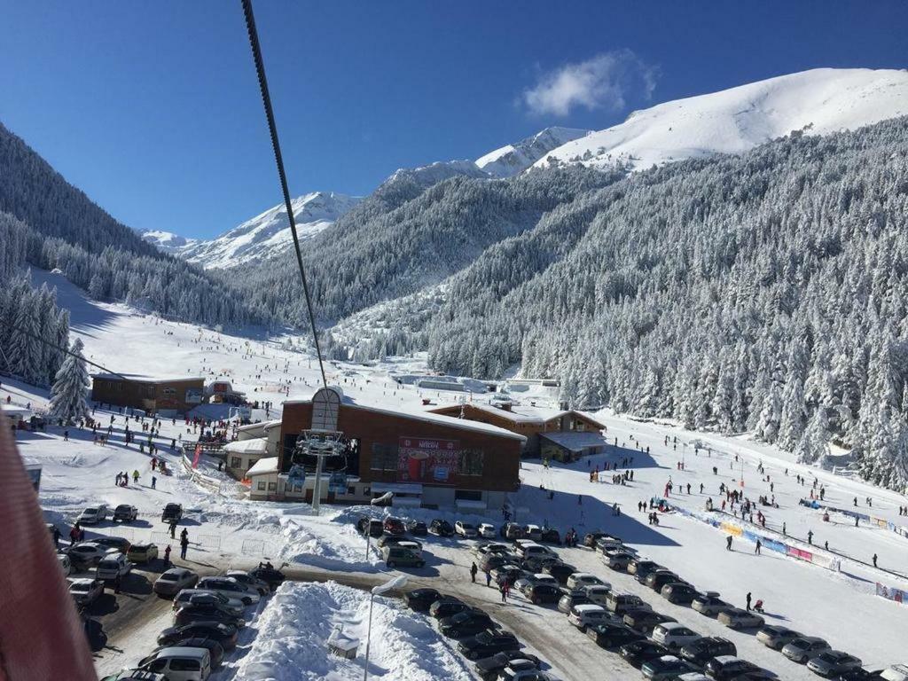 Cedar Lodge 3/4 Apartment Paradise Bansko Esterno foto